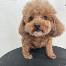 몽심살롱 이미지