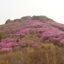 행복의 동산 이미지