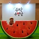 230730 아들방학맞이2탄_아동뮤지컬_수박수영장/국립중앙어린이박물관