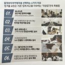 네일잇고 이미지