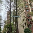 압구정케빈부동산중개법인주식회사 이미지