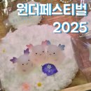 투투펫 | 원더페스티벌 2025 코리아 일산 킨텍스 다녀온 후기
