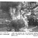 대관축산 이미지