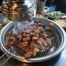 수상한돼지 티스토리