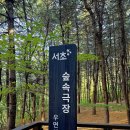 우면산6-11 이미지