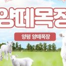 양평목장 이미지