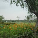 낙동강변로-4 이미지