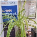 3H스마트 지압침대 | 수원지압소파 수원 영통에서 만난 건강한 힐링, 3H지압침대 체험 후기