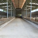 경사목장 이미지