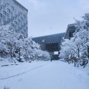 빙상장 횡단보도 이미지