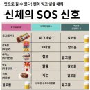 신체의 SOS의 신호...? 이미지