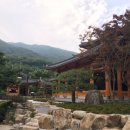 초원랜드 이미지