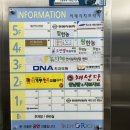 쌍용자동차서구프라자 이미지