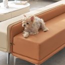 대인약국 이미지