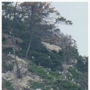 세븐스프링스펜션 이미지