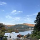 꼬다리우스 독채 펜션 이미지