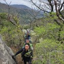 축령산 산소길(3구간) | 영산기맥 3구간 장성 축령산(622.6)구간250419