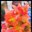 빅마마미용실 이미지