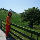 한별목장 이미지