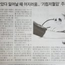 남해화학여수노동조합 이미지