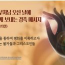 [메시지] 2024년 부처님 오신 날에 불자들에게 보내는 경축 메시지 이미지