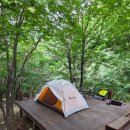 서면바른내과의원 이미지