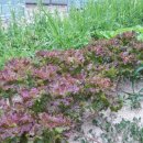 여주자영농업고등학교 이미지