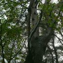 다무락마을 쉼터 이미지