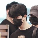 도토리김밥 이미지