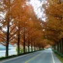 국토종주자전거길1-63 이미지