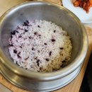 제주애견카페 초록동산 이미지