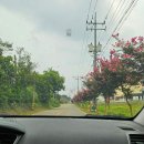 영흥36가족호텔 이미지