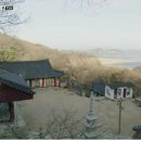 슬기로운유라생활 이미지