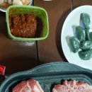 외도펠리스 이미지