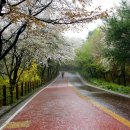 충무공초등학교 이미지