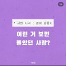 대학생 연합동아리형 영어회화스터디 T.Eng 2년차의 솔직 후기 + 해외 인턴 합격 근황✈️