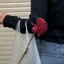 경원숯불갈비 이미지