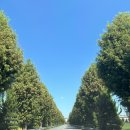 소원별장 | 에어비앤비 담양 독채펜션 소원별장에서 2박 3일 보내기