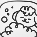 가치있개 이미지