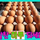 알 - 제주시 서광로14길 5 | 알