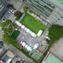 펫페스티벌 이미지