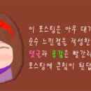 전뱅이 이미지