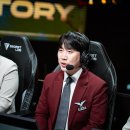 퍼피월드제주 이미지