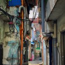 스마트폰으로 보는 세상 이미지