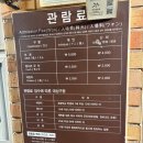 성산일출봉 주차장 | 여자 혼자 제주도 여행 성산일출봉 일출 후기