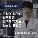(주)고려메디칼 이미지