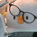 천지 행정사 | 하이테크감정평가법인 season.2