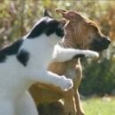 오늘맑음세차장 이미지