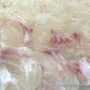 보물섬횟집 이미지