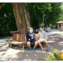 달리다꿈 이미지